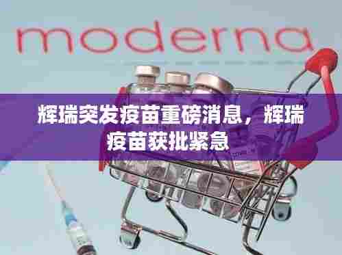 辉瑞突发疫苗重磅消息，辉瑞疫苗获批紧急 