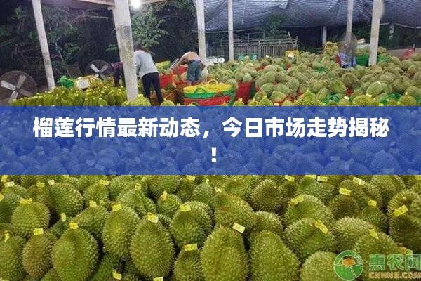 张口结舌 第6页