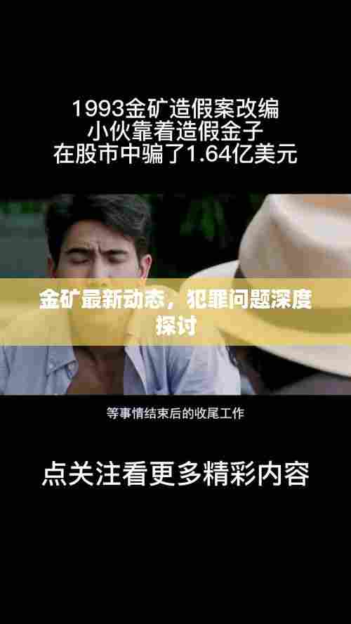 金矿最新动态，犯罪问题深度探讨