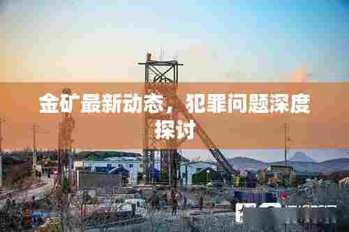 金矿最新动态,犯罪问题深度探讨