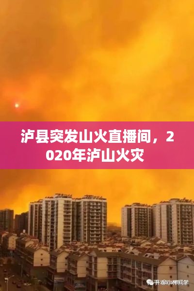 泸县突发山火直播间,2020年泸山火灾