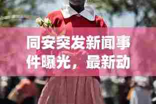 同安突发新闻事件曝光,最新动态一网打尽