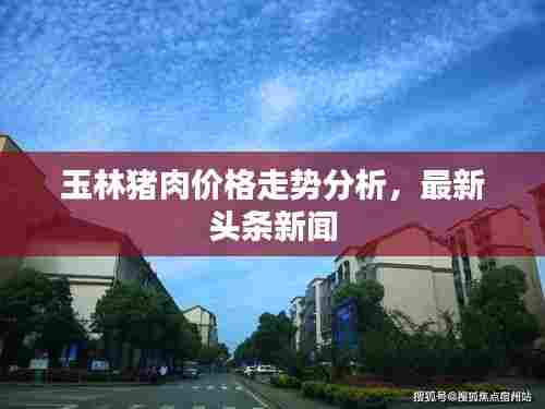 玉林猪肉价格走势分析，最新头条新闻
