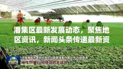 潘集区最新发展动态，聚焦地区资讯，新闻头条传递最新资讯