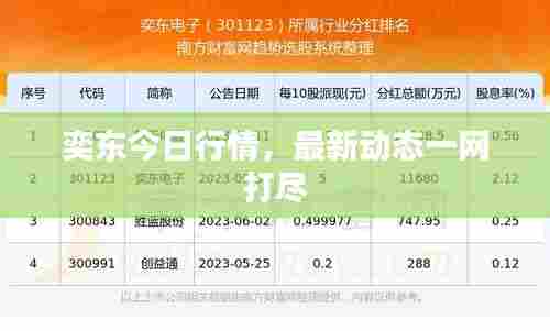 奕东今日行情，最新动态一网打尽