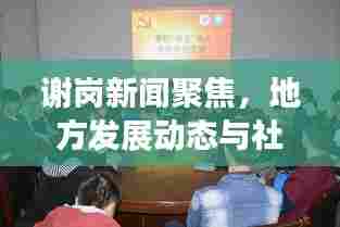 谢岗新闻聚焦,地方发展动态与社会热点大揭秘