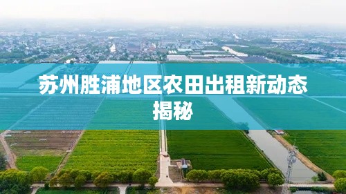 苏州胜浦地区农田出租新动态揭秘