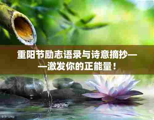 重阳节励志语录与诗意摘抄——激发你的正能量！
