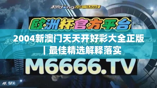 2004新澳门天天开好彩大全正版|最佳精选解释落实