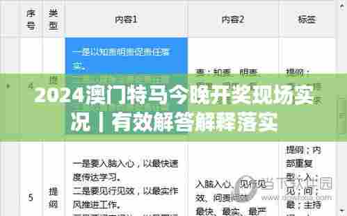 2024澳门特马今晚开奖现场实况｜有效解答解释落实