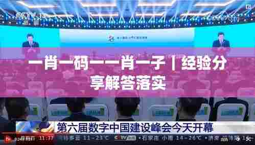一肖一码一一肖一子｜经验分享解答落实