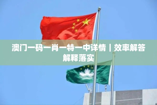 澳门一码一肖一特一中详情｜效率解答解释落实
