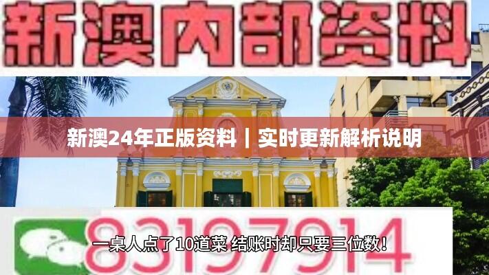 新澳24年正版资料|实时更新解析说明