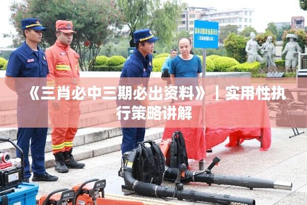 《三肖必中三期必出资料》｜实用性执行策略讲解