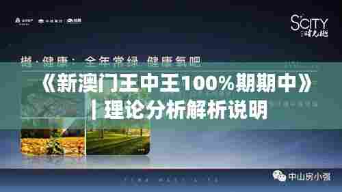 《新澳门王中王100%期期中》｜理论分析解析说明