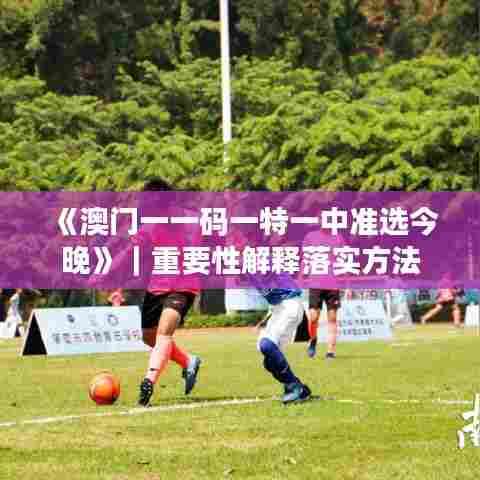 《澳门一一码一特一中准选今晚》｜重要性解释落实方法