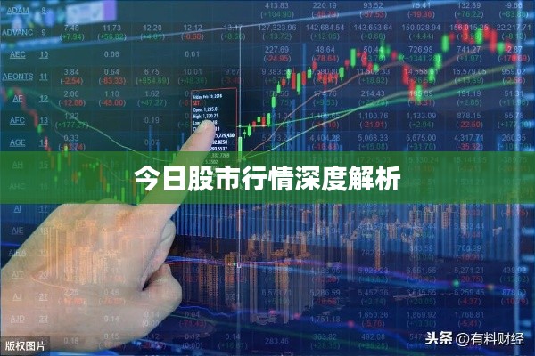 今日股市行情深度解析
