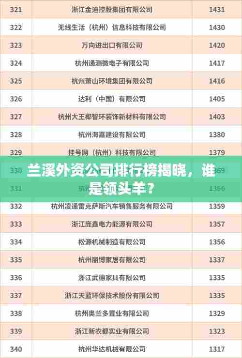 兰溪外资公司排行榜揭晓，谁是领头羊？