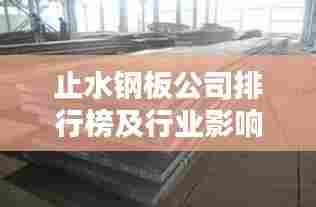 止水钢板公司排行榜及行业影响力解析