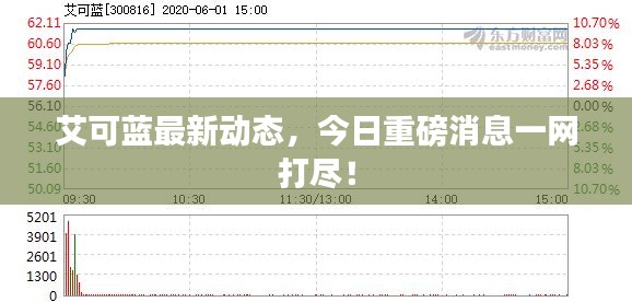 艾可蓝最新动态,今日重磅消息一网打尽!