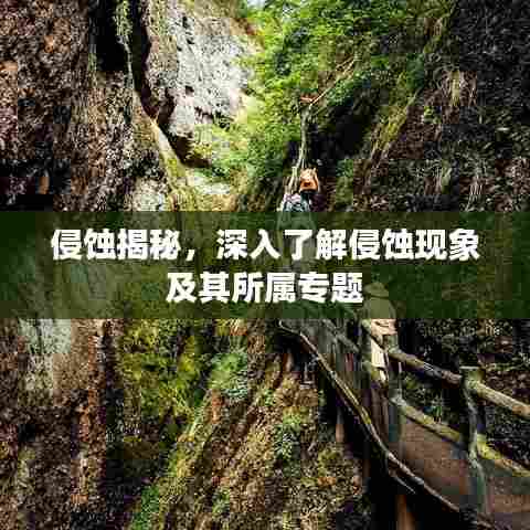 侵蚀揭秘，深入了解侵蚀现象及其所属专题