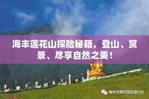 海丰莲花山探险秘籍，登山、赏景、尽享自然之美！