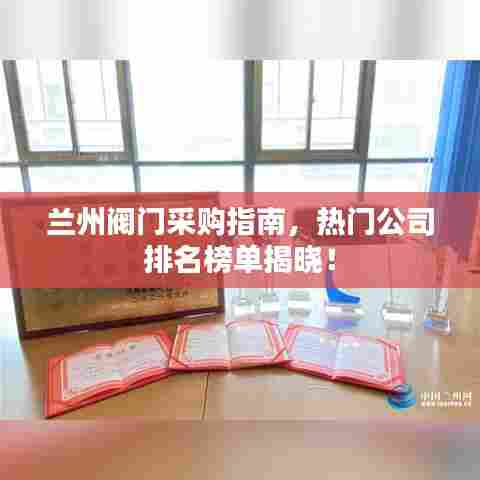 兰州阀门采购指南，热门公司排名榜单揭晓！