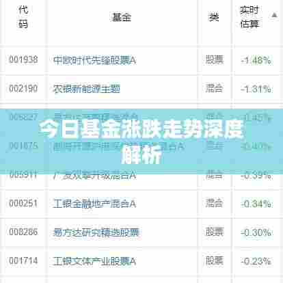 今日基金涨跌走势深度解析