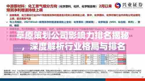 草原策划公司影响力排名揭秘,深度解析行业格局与排名