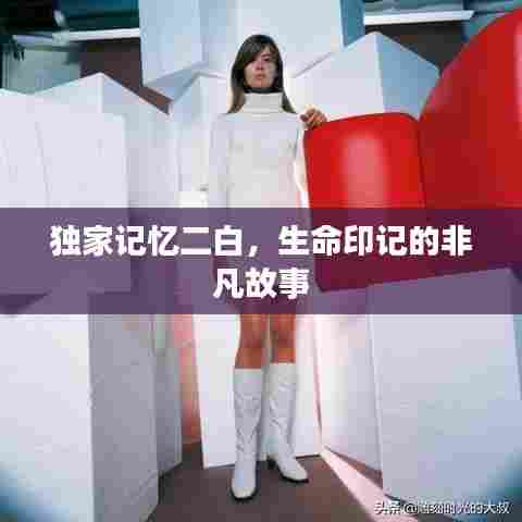 独家记忆二白，生命印记的非凡故事