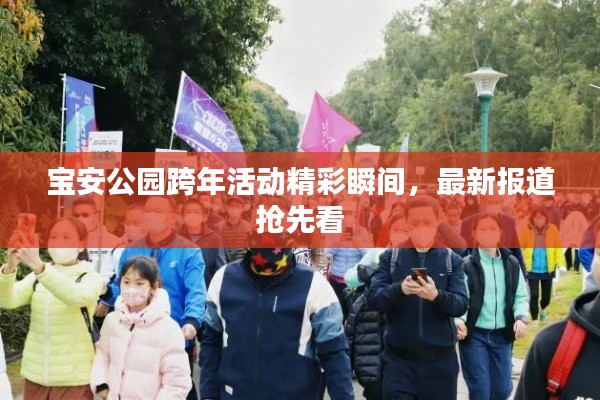 宝安公园跨年活动精彩瞬间，最新报道抢先看