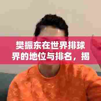 樊振东在世界排球界的地位与排名，揭秘他的辉煌成就！