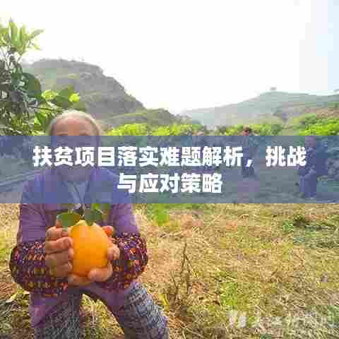 扶贫项目落实难题解析，挑战与应对策略