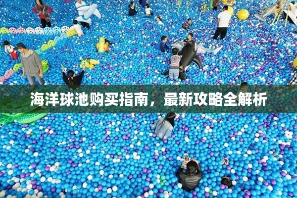 海洋球池购买指南，最新攻略全解析