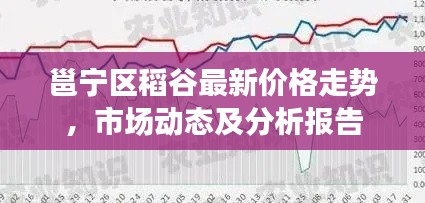 邕宁区稻谷最新价格走势，市场动态及分析报告