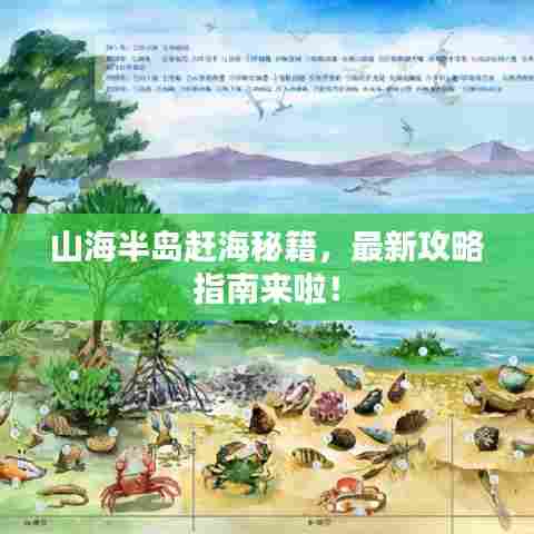 山海半岛赶海秘籍,最新攻略指南来啦!