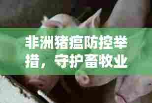 非洲猪瘟防控举措,守护畜牧业安全的关键行动