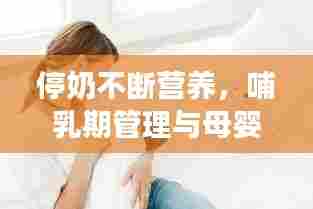 停奶不断营养，哺乳期管理与母婴健康深度解析