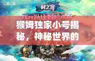 猴姆独家小号揭秘，神秘世界的独家探索之旅