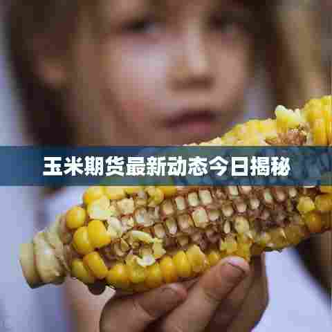 玉米期货最新动态今日揭秘