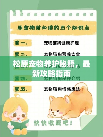 松原宠物养护秘籍，最新攻略指南