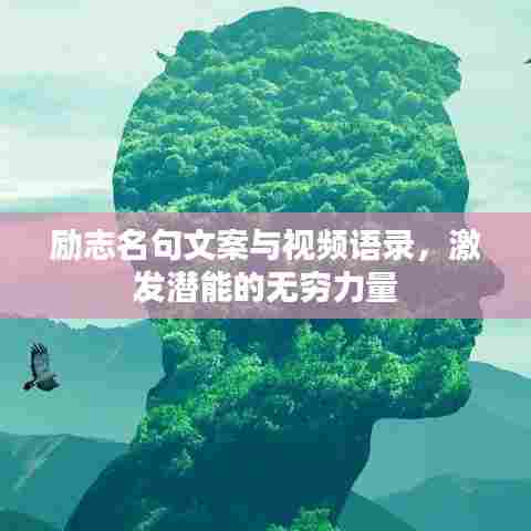 励志名句文案与视频语录，激发潜能的无穷力量
