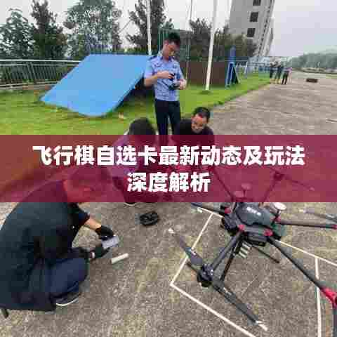 飞行棋自选卡最新动态及玩法深度解析
