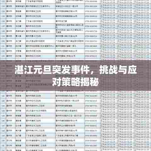 湛江元旦突发事件,挑战与应对策略揭秘
