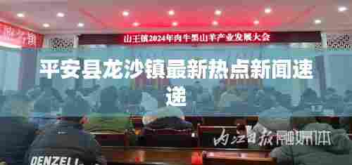 平安县龙沙镇最新热点新闻速递