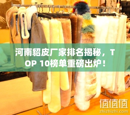 河南貂皮厂家排名揭秘，TOP 10榜单重磅出炉！