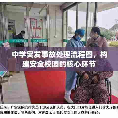 中学突发事故处理流程图，构建安全校园的核心环节