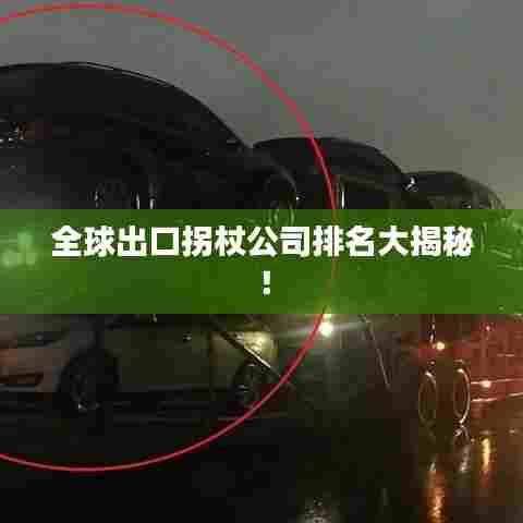 全球出口拐杖公司排名大揭秘！