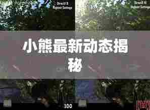 小熊最新动态揭秘