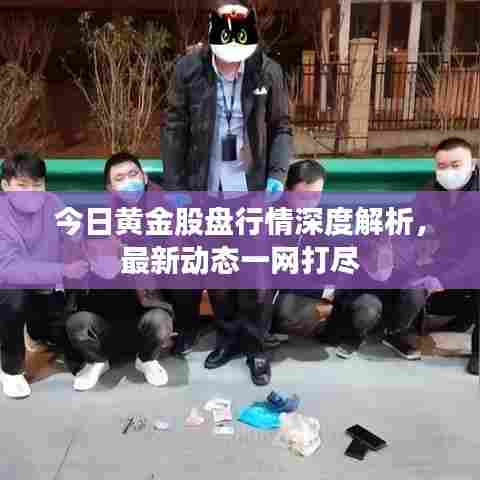 今日黄金股盘行情深度解析，最新动态一网打尽